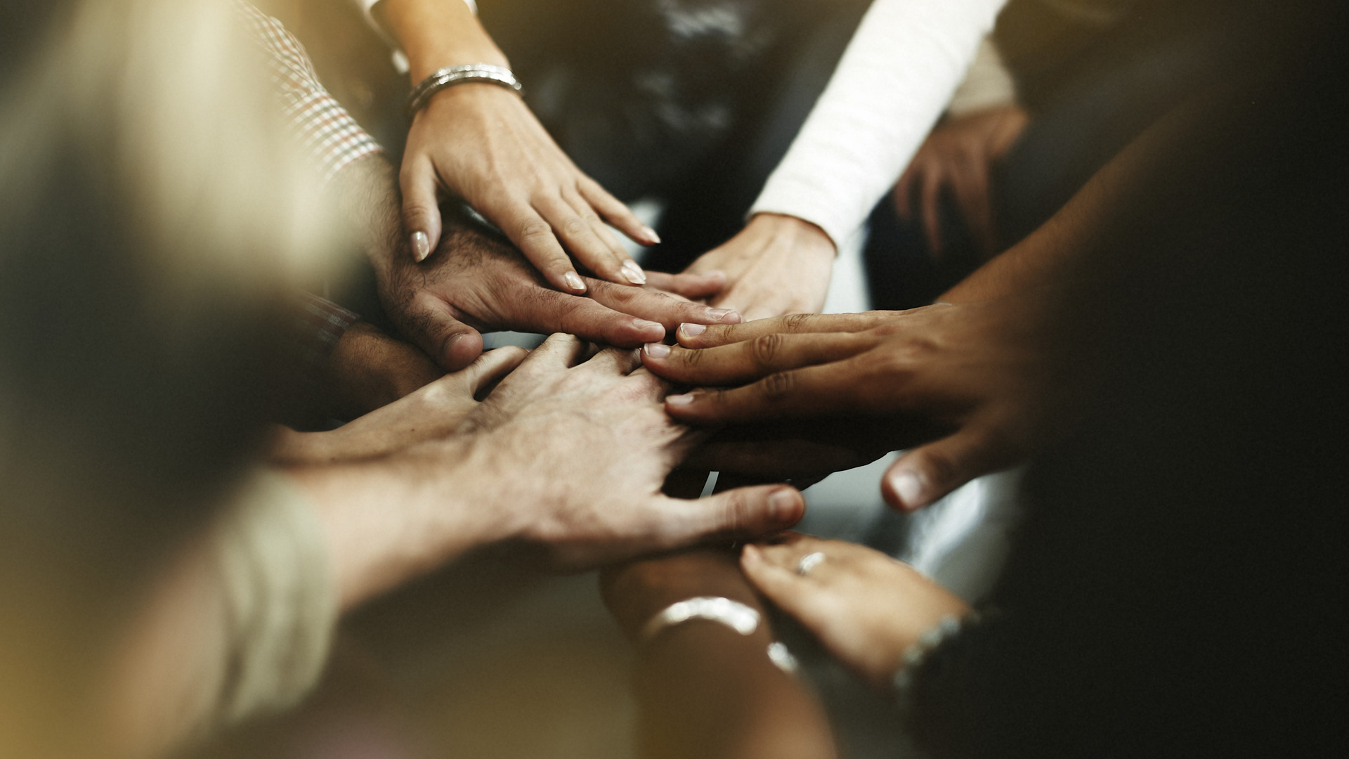 Collaborating with others for a shared purpose creates a meaningful experience - Freepick, Qalia conscious luxury responsible tourism luxury villas