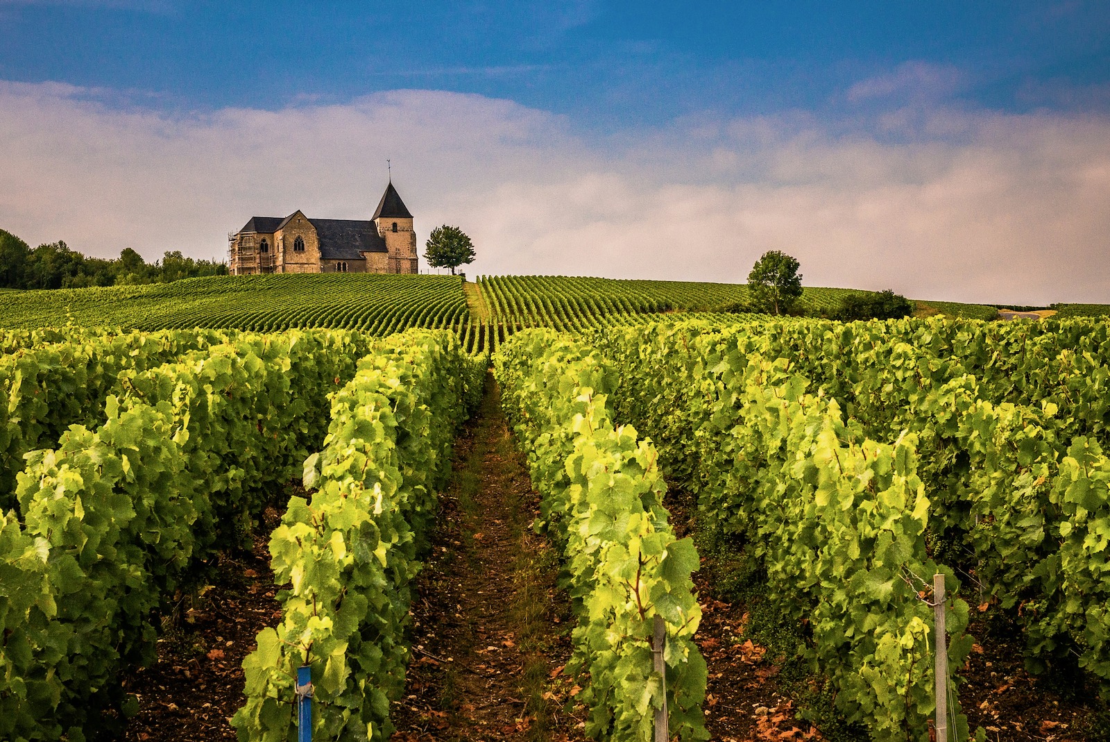 Village house in the Médoc supported by Unique Retreats through feasibility and hospitality renovation strategy